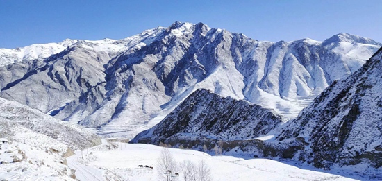 1584005541839252.jpg tibet3.jpg